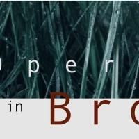 American Opera Projects Announces 21st Season, Features Workshops of…